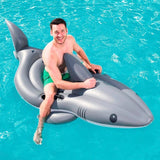 Ride-On shark