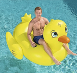 Bestway duck ride on