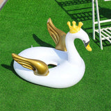 Swan floats for kids