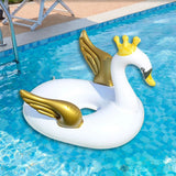 Swan floats for kids