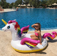 Medium Size Unicorn Float