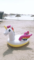 Medium Size Unicorn Float