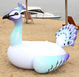 Peacock Float