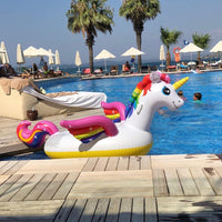 Medium Size Unicorn Float